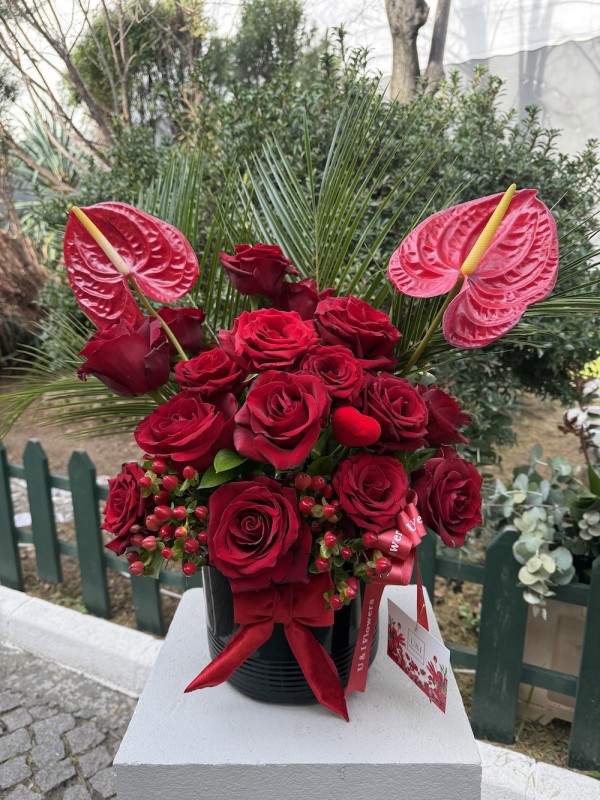 Fire & Roses