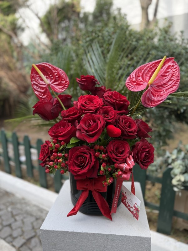 Fire & Roses