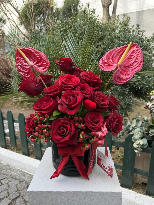 Fire & Roses