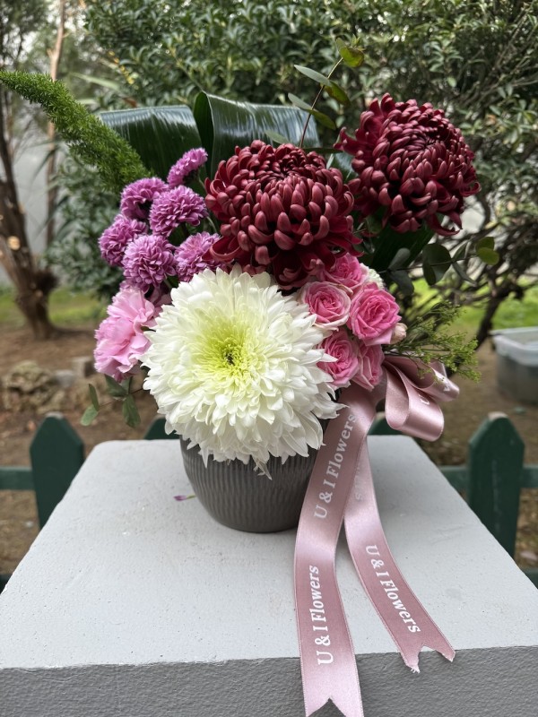 Blush Blooms