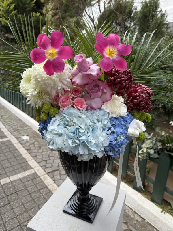 Serenity Blooms
