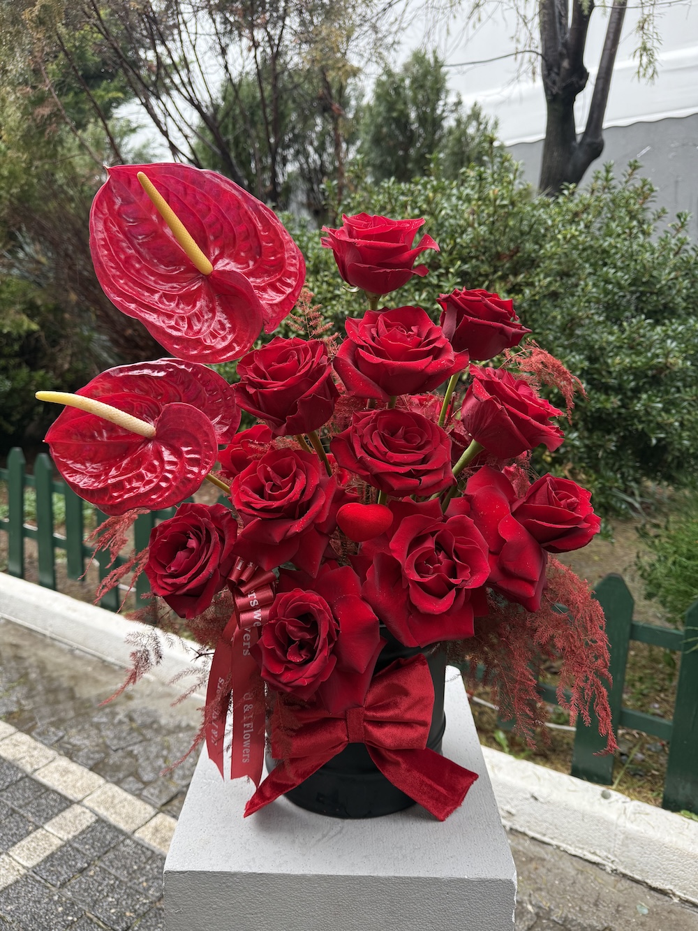 Aşkın Tutkusu