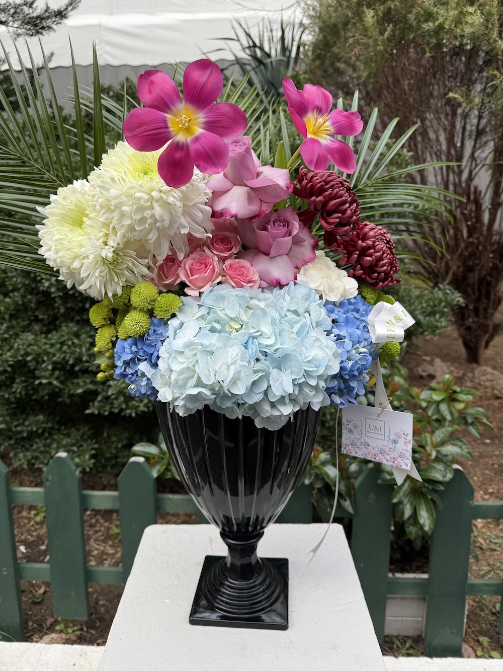 Serenity Blooms