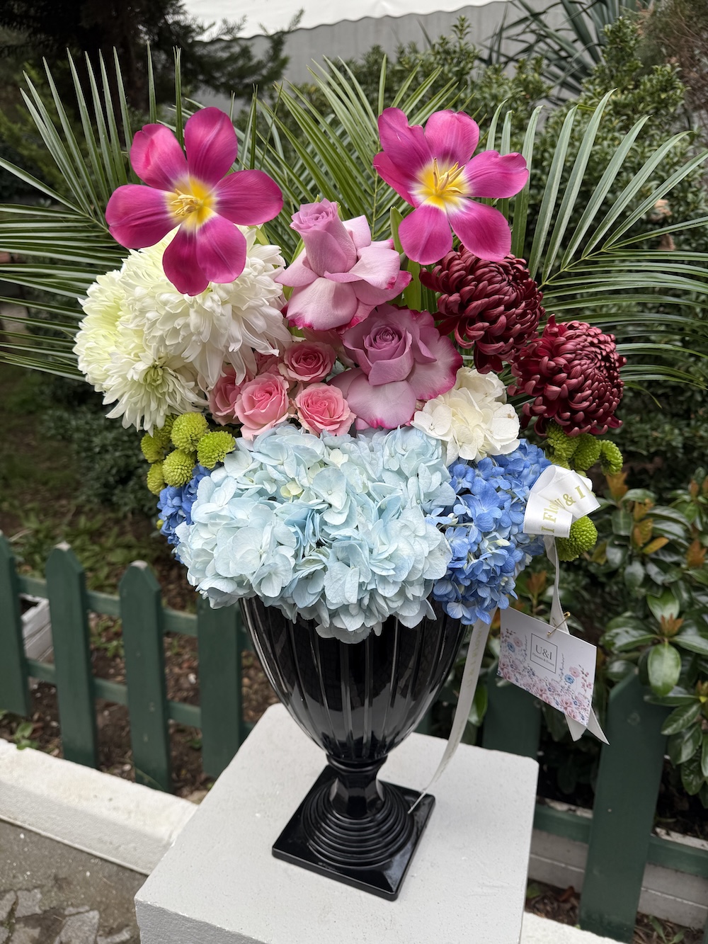 Serenity Blooms